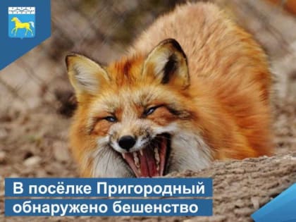 В Минусинском районе выявлен ещё один случай бешенства