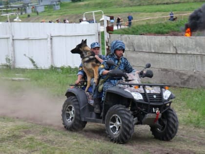 В Красноярском крае отмечают День кинолога