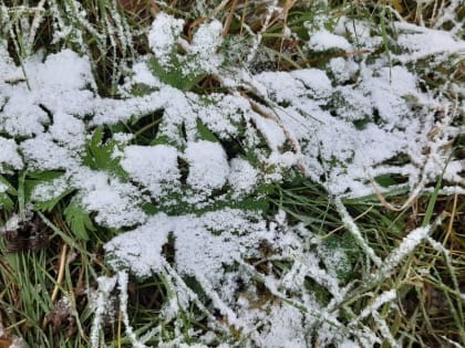 В выходные на территории Красноярского края и в Хакасии похолодает до -9 градусов