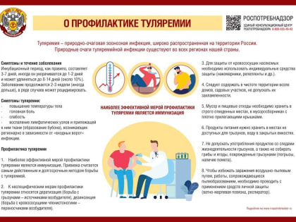 Красноярцев предупредили о риске заражения редким заболеванием от «голодных» клещей
