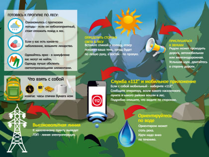 Правила поведения в лесу 08.06.2024г.