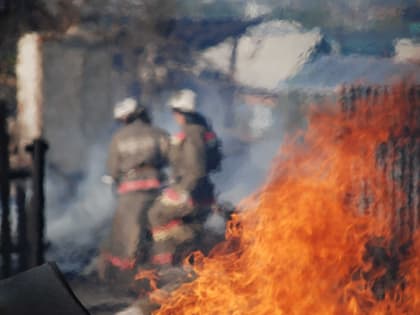 За поджоги сухой травы в крае возбуждено уже 67 дел
