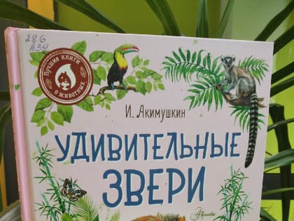 Зеленый уголок