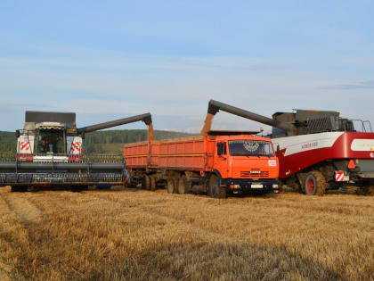 Поддержка АПК