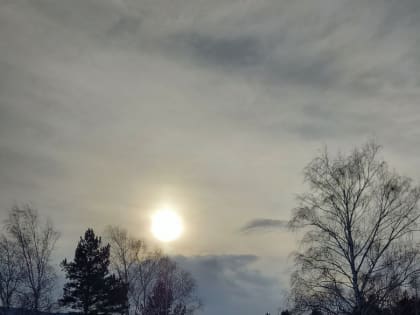 В Красноярске на рабочей неделе потеплеет до +4