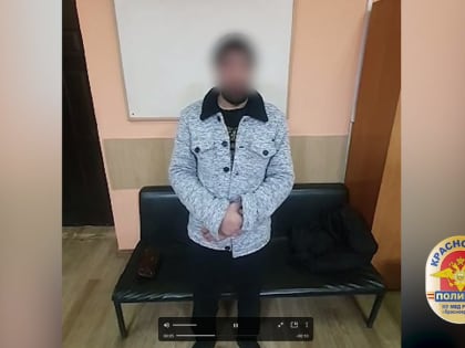 Красноярские полицейские задержали мужчину, разбившего лобовое стекло такси