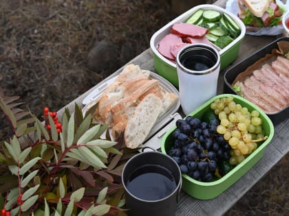 Плесень на продуктах – маркер их непригодности