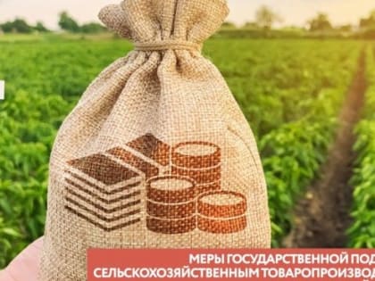 Информация о мерах поддержки для сельхозтоваропроизводителей