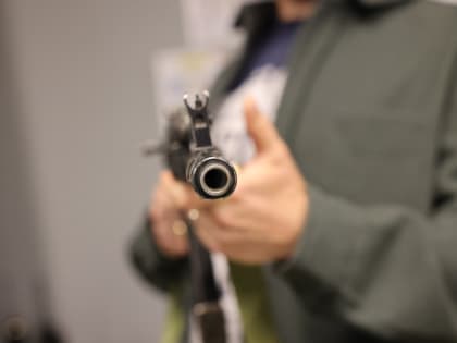 В Красноярском крае неизвестные расстреляли в центре поселка пять собак