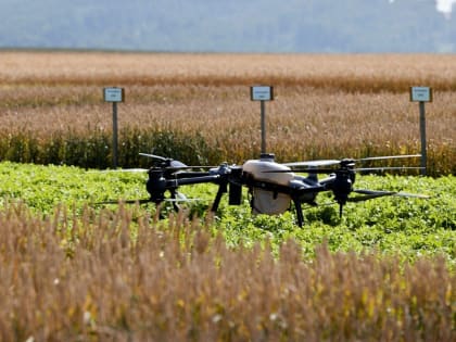 К событиям в Красноярском крае