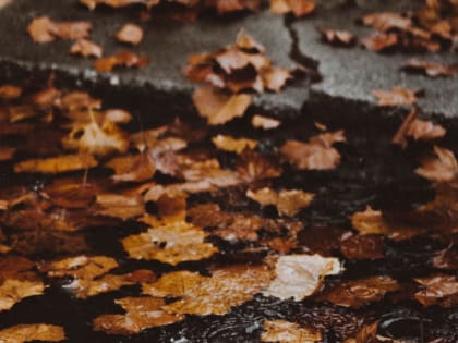 Октябрьская погода в Красноярске: дожди и заморозки