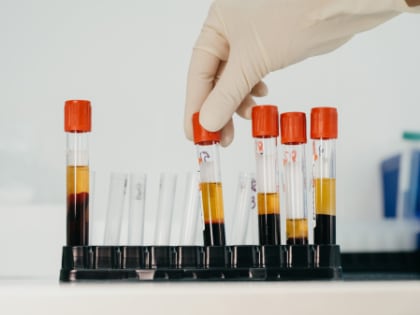 Федеральный исследовательский центр 
«Красноярский научный центр
Сибирского отделения Российской академии наук»