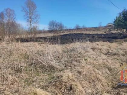 В Красноярском крае ребёнок поджёг траву и едва не устроил серьёзный пожар