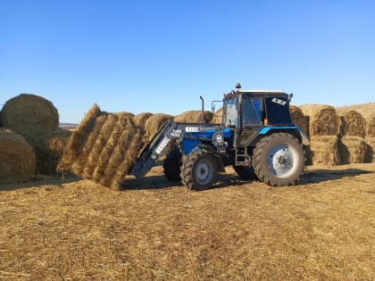 «Агростартап» в действии: за пять лет гранты на открытие малого агробизнеса получили 77 фермеров Красноярского края