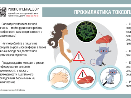 В прошлом году врачи обнаружили токсоплазмоз у 10-летней девочки из Красноярска