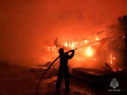 С начала 2023 года в Красноярском крае погибли шесть человек, травмированы четыре