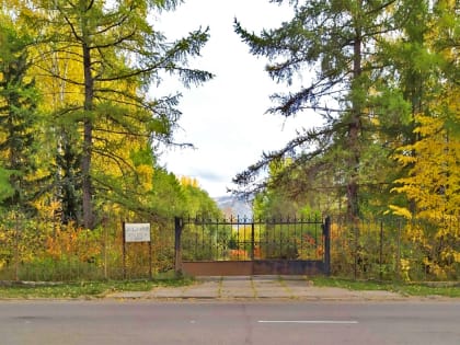 В Красноярске снова разгорается битва за спасение дендрария