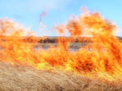 Почему не все российские регионы отказались сжигать сухую траву весной