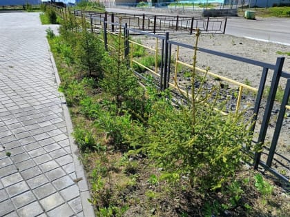 Дудинцев просят бережно относиться к городской среде