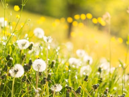 На новой рабочей неделе в Красноярск ненадолго вернется тепло