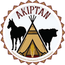 Akiptan logo