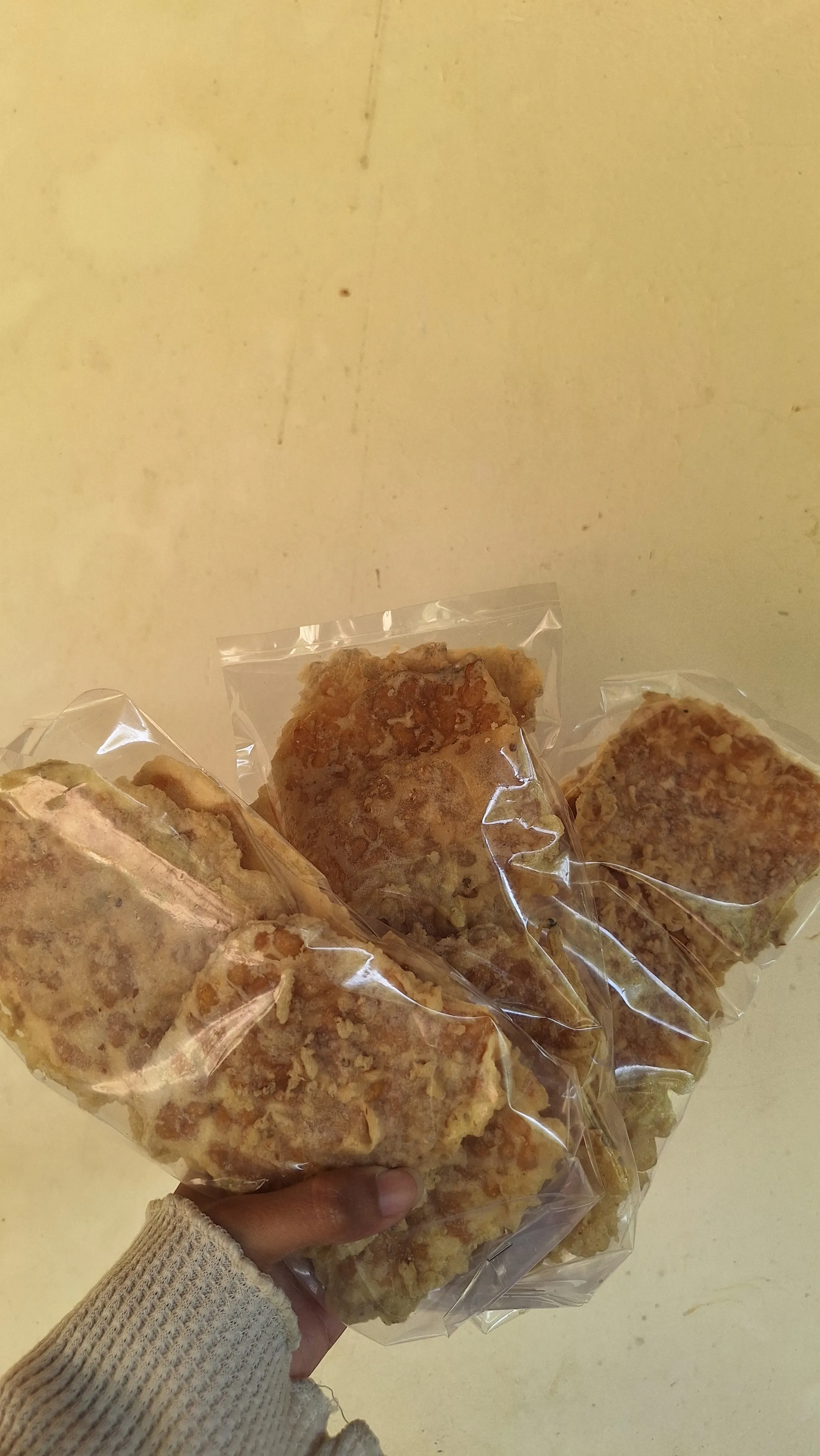 Tempe Kripik 2