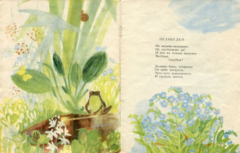 Nuestras flores