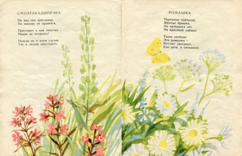 Nuestras flores