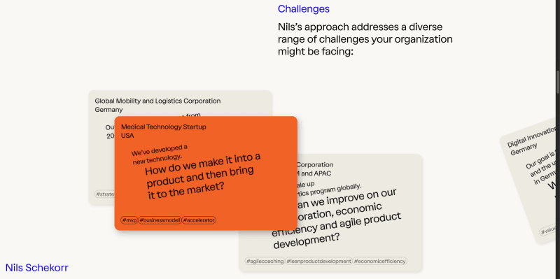 Nils Schekorr • Organizational Change, Innovation, Leadership