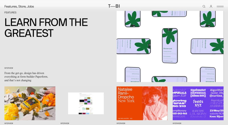 The Brand Identity