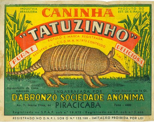 Tatuzinho