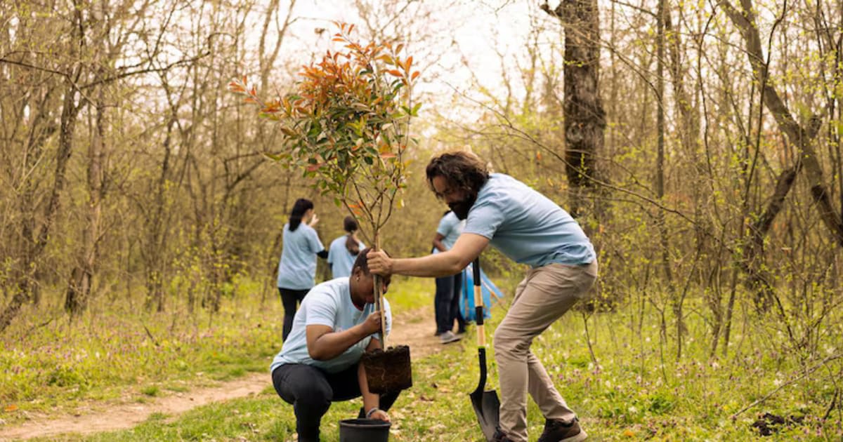 Community Heritage Preservation Overview: Essential Information, Traditions, and Cultural Insights