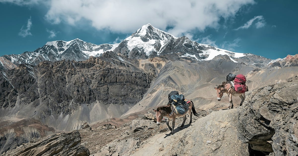 Himalayan Mountain Adventures Explained: Learn Trekking Basics, Safety Tips, and Key Travel Insights