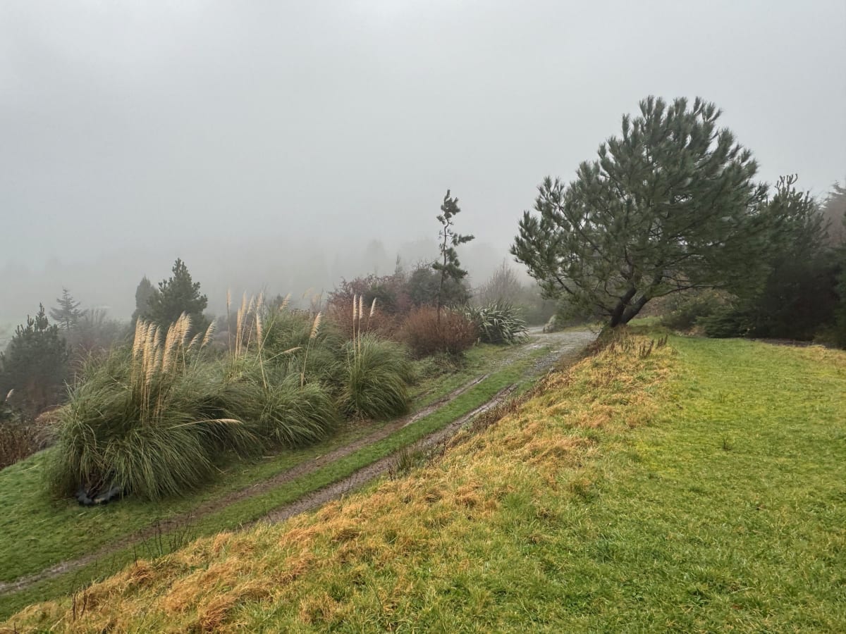 The Summit and Fire Pit gallery