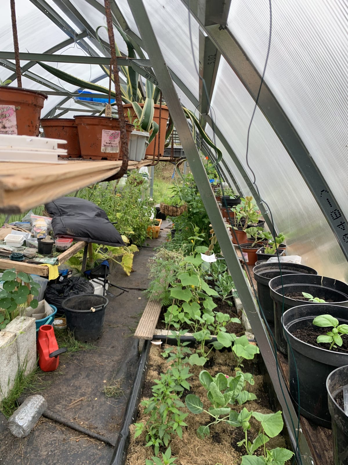  The Polytunnel gallery