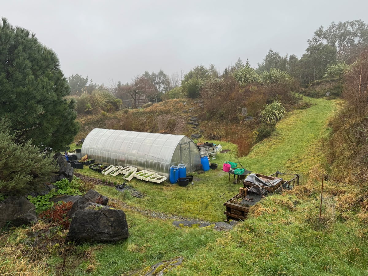  The Polytunnel gallery