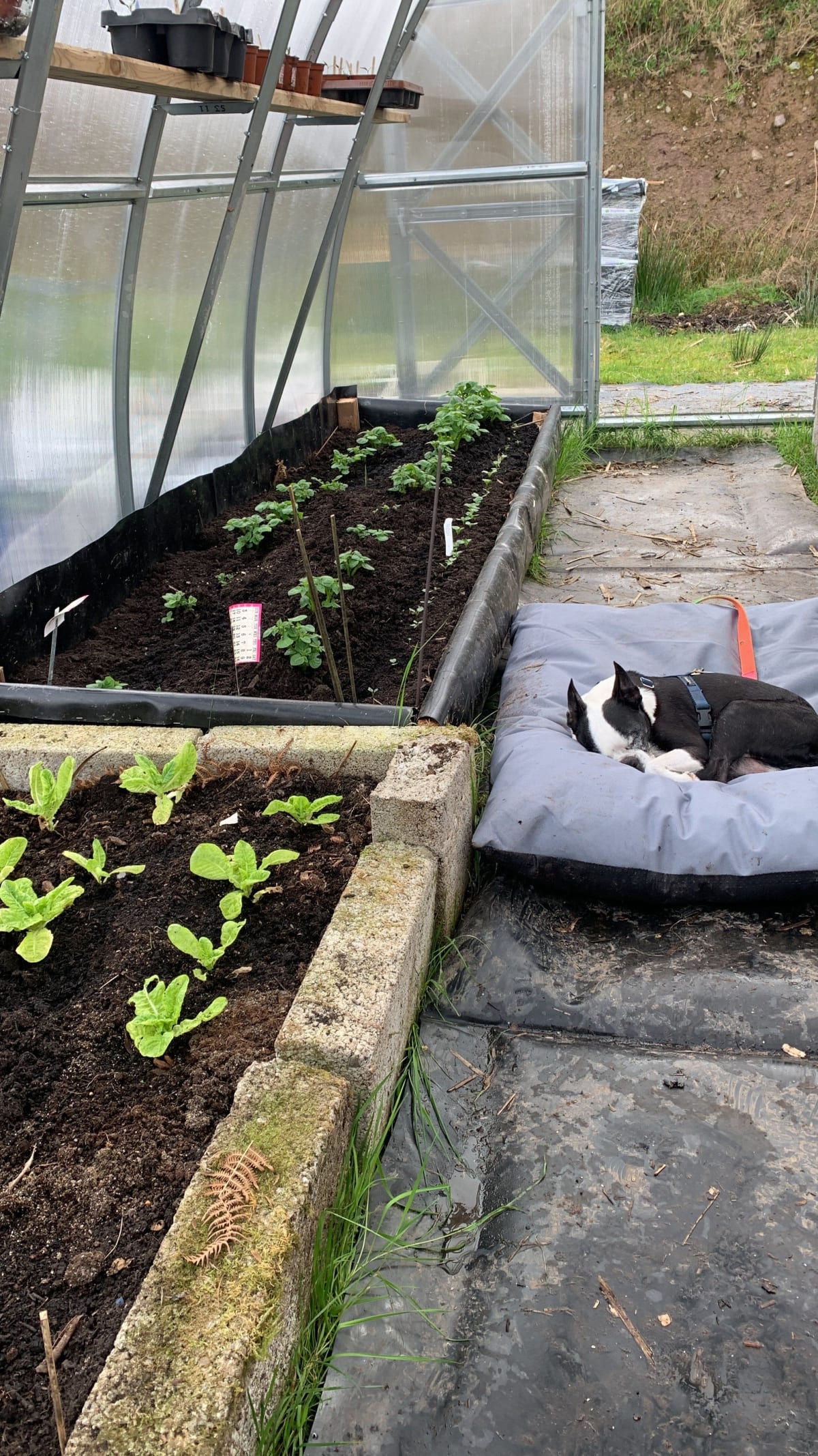  The Polytunnel gallery