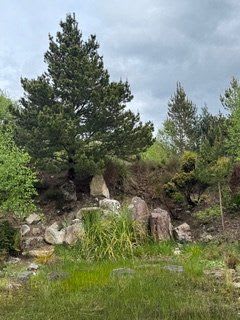 The Silent Garden gallery