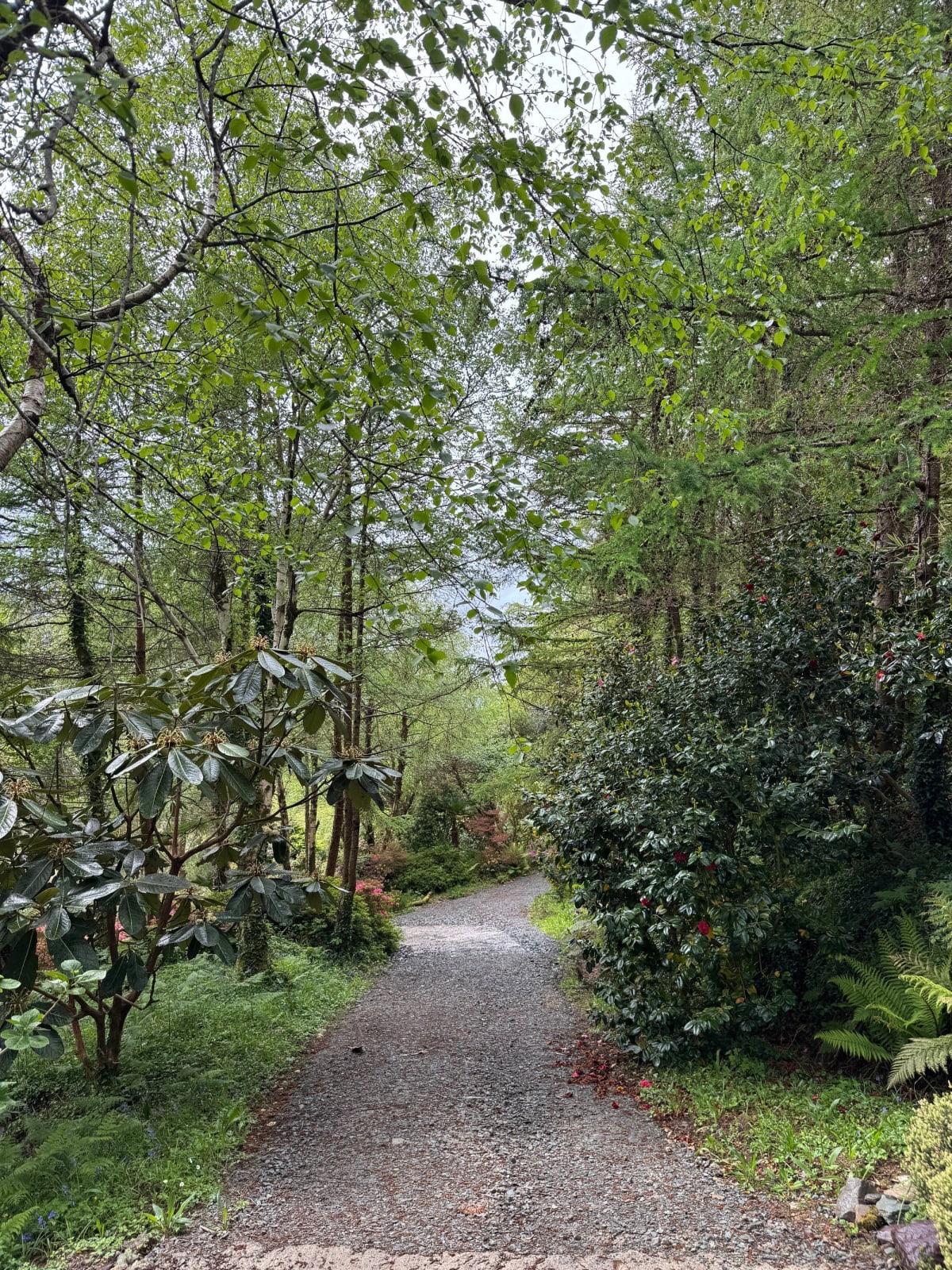 Garden Walk
- Wander freely at your own pace