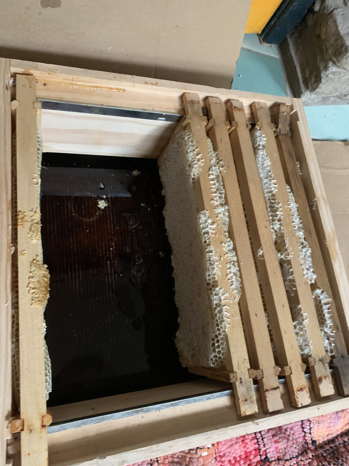 Ardea Wildflower Honey