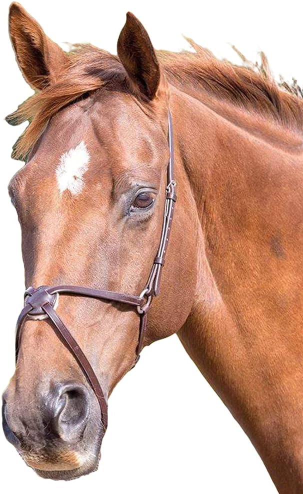 Muserolle Cuir Mexicaine Équitation