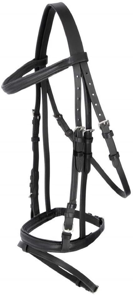 Bride Anglaise Combinée Rênes