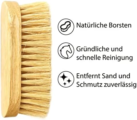 Vue 5 de Brosse Cheval Sabots Nettoyage