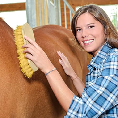 Vue 6 de Brosse Cheval Sabots Nettoyage