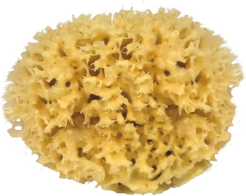 Éponge naturelle méditerranéenne hypoallergénique