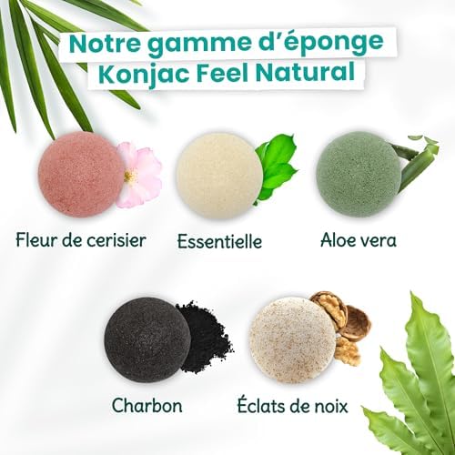 Vue 6 de Éponge Konjac Visage Charbon