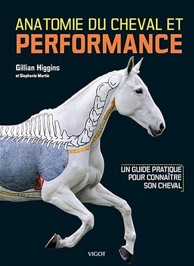 Anatomie cheval illustré guide