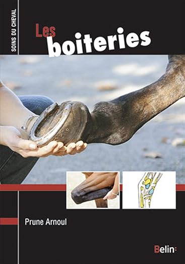 Diagnostic et traitement boiteries équines