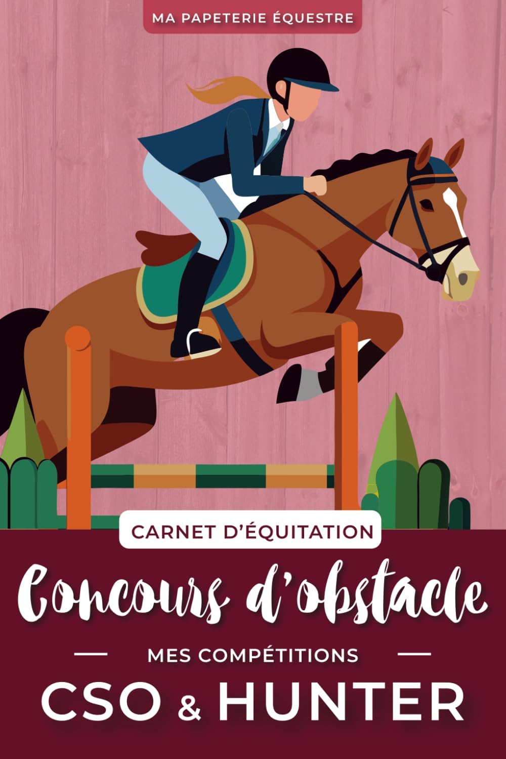 Vue 6 de Diagnostic et Traitement Boiteries Équines