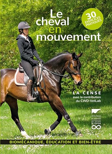 Équitation cheval mouvement illustré